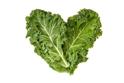 Kale for cavies