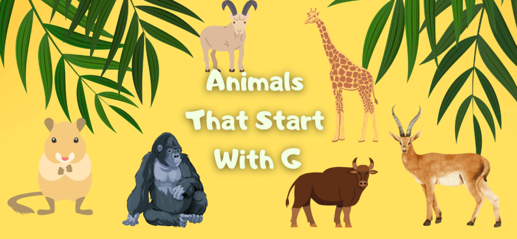 Animals That Start With G