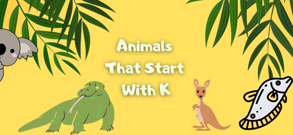 animals that start with k