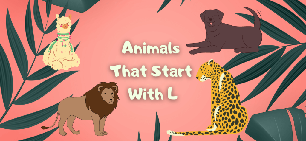 animals that start with l