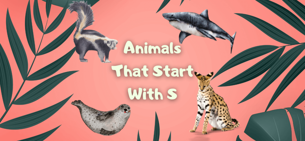 animals that start with s