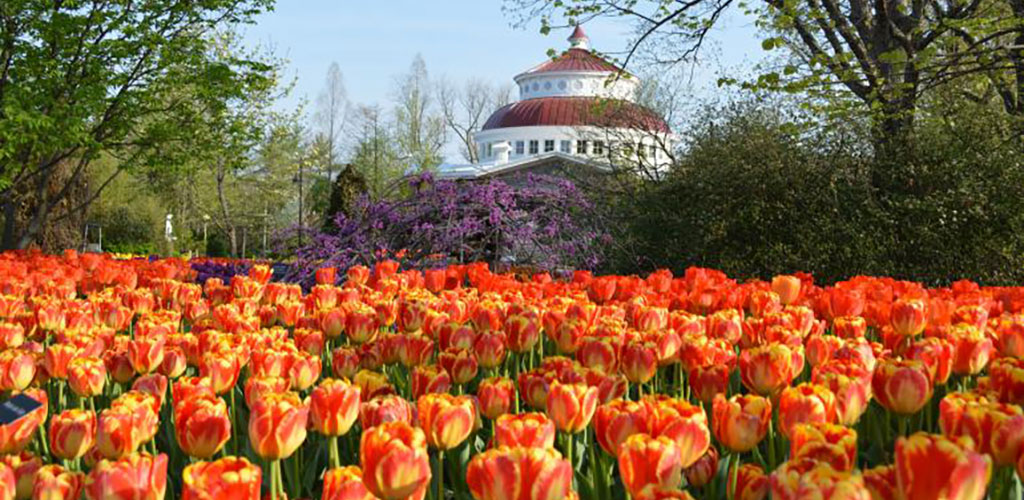 The Flowers blooming at the Cincinnati Zoo and Botanical Garden