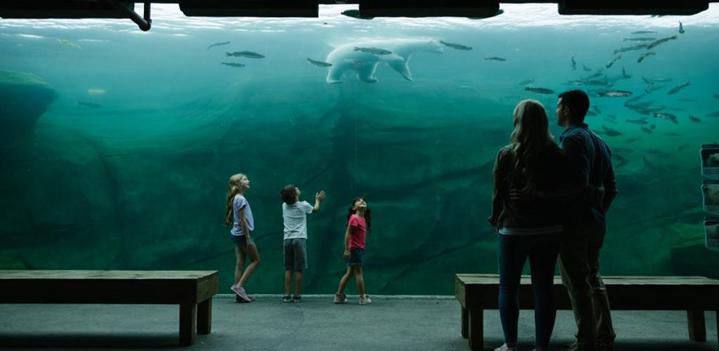 Children looking through the glass at polar bears and fish in the Columbus Zoo Aquarium