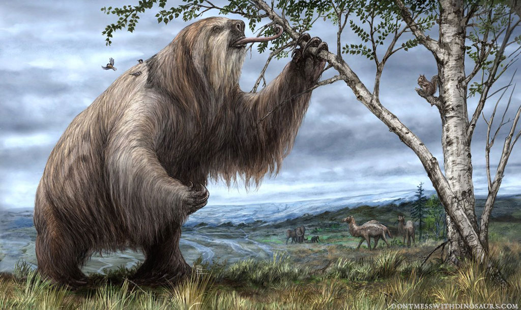 An artist's depiction of a now extinct Megalonyx eating from a tree