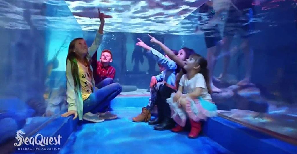 Seaquest interactive aquarium with kids pointing to fish in a tunnel