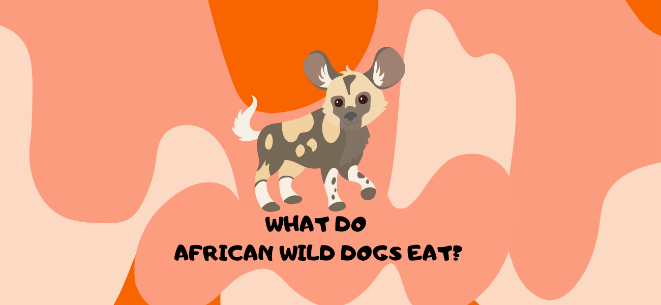 What Do African Wild Dogs Eat? (With Examples)