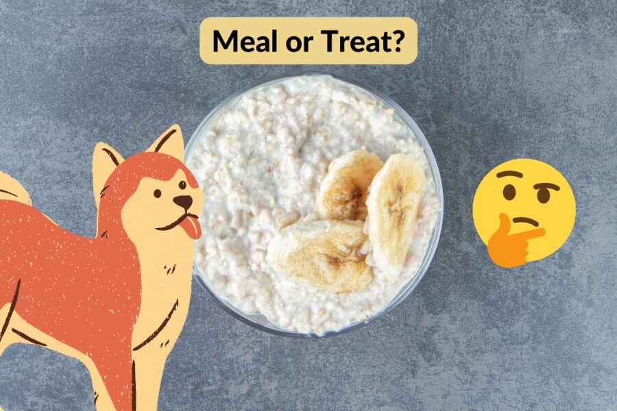 Oats for a Dog's Breakfast?