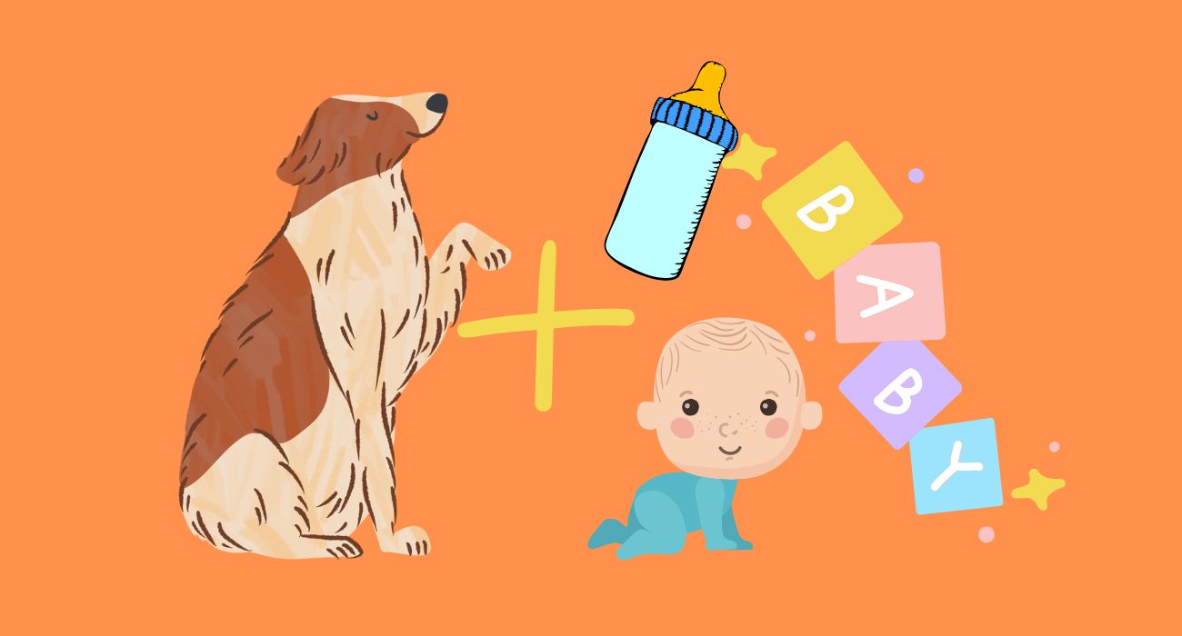 Can Dogs Eat Baby Food? The Rules of Feeding Your Dog